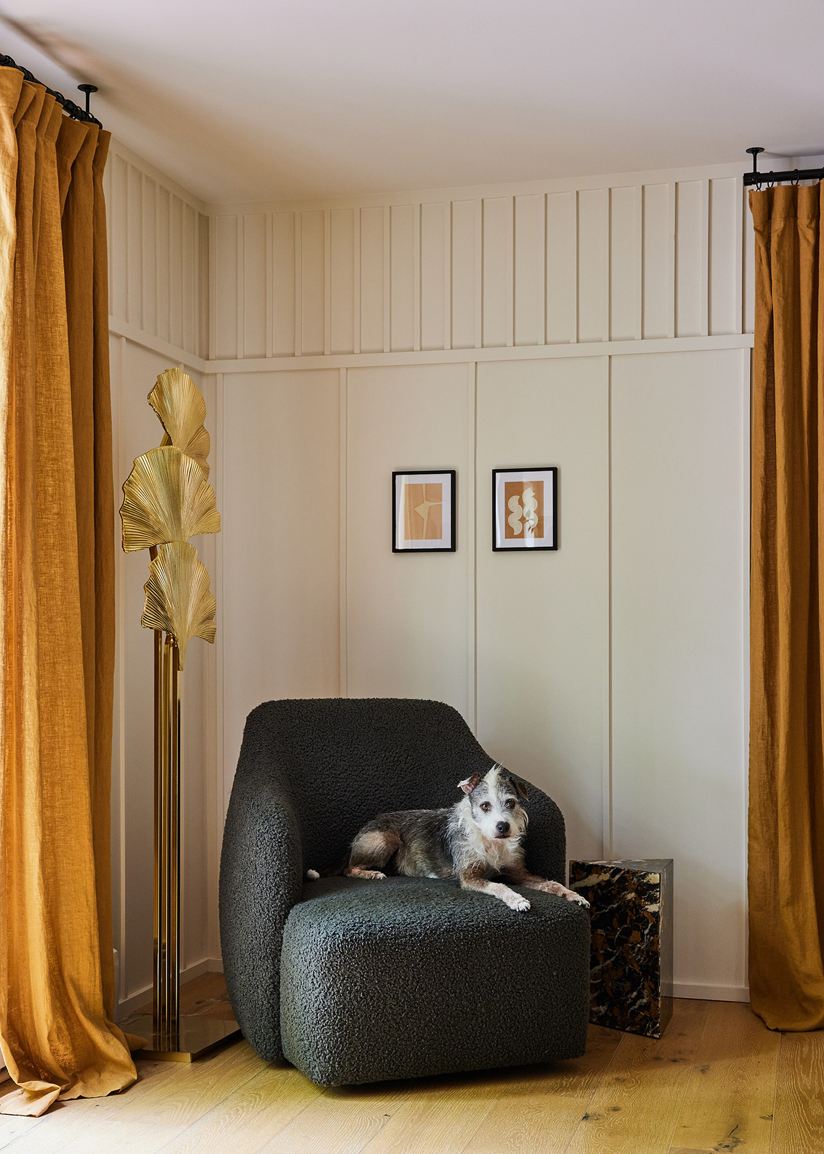 سگ ها در فضاهای داخلی - سارا شرمن ساموئل